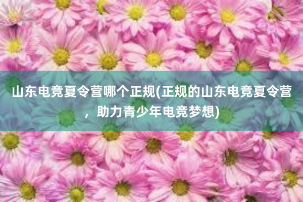 山东电竞夏令营哪个正规(正规的山东电竞夏令营，助力青少年电竞梦想)