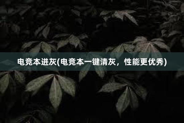 电竞本进灰(电竞本一键清灰，性能更优秀)