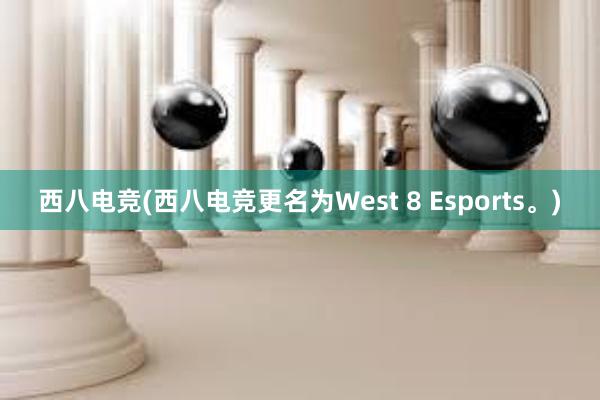 西八电竞(西八电竞更名为West 8 Esports。)