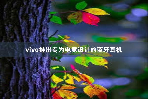 vivo推出专为电竞设计的蓝牙耳机