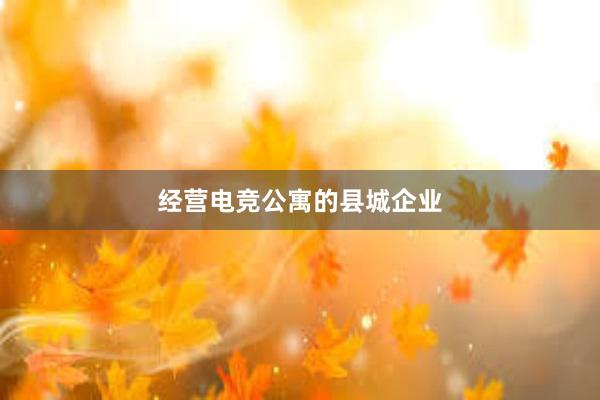 经营电竞公寓的县城企业