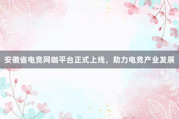 安徽省电竞网咖平台正式上线，助力电竞产业发展