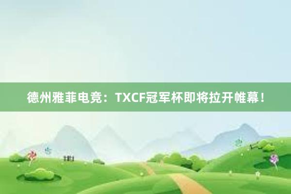 德州雅菲电竞：TXCF冠军杯即将拉开帷幕！