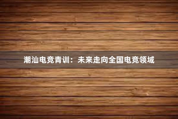 潮汕电竞青训：未来走向全国电竞领域