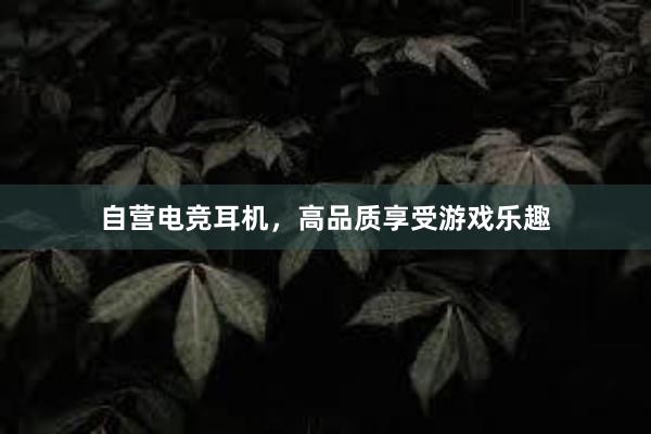 自营电竞耳机，高品质享受游戏乐趣