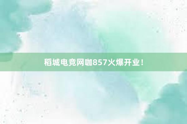 稻城电竞网咖857火爆开业！