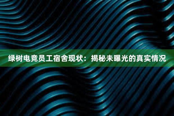 绿树电竞员工宿舍现状：揭秘未曝光的真实情况