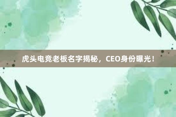 虎头电竞老板名字揭秘，CEO身份曝光！