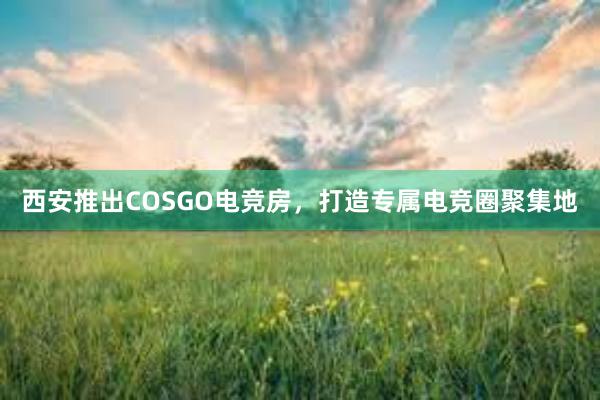 西安推出COSGO电竞房，打造专属电竞圈聚集地