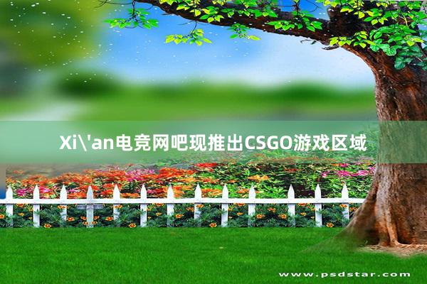 Xi'an电竞网吧现推出CSGO游戏区域